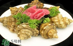 海螺是蒸還是煮？海螺的尾部是黃還是屎