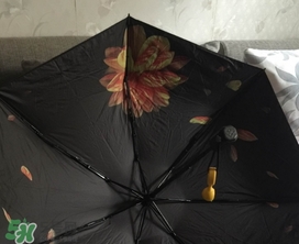 蕉下小黑傘能遮雨嗎？蕉下太陽傘能淋雨嗎？
