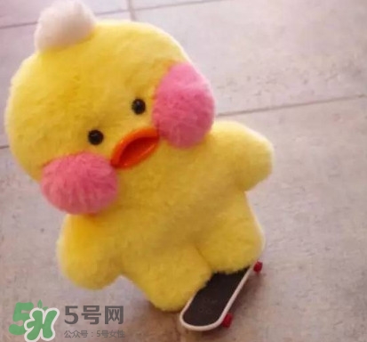 玻尿酸鴨哪里可以買到？一個玻尿酸鴨多少錢？