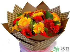 父親節(jié)可以送花嗎？父親節(jié)送什么花最合適？