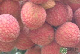 黑葉荔枝和白糖罌哪個(gè)好吃？黑葉荔枝和白糖罌區(qū)別