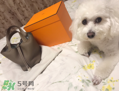 菜籃子包是什么牌子？菜籃子包是哪個(gè)品牌的？