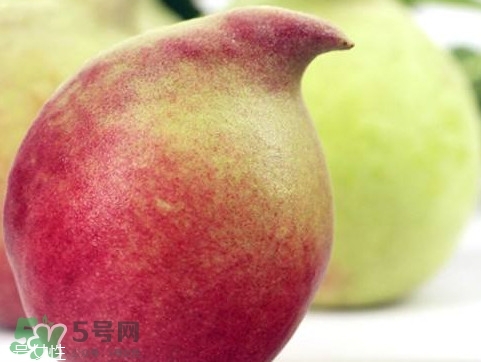 鷹嘴桃種植應(yīng)注意哪些？鷹嘴桃什么時間修剪