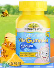 Nature's Way好嗎 Nature's Way保健品怎么樣？
