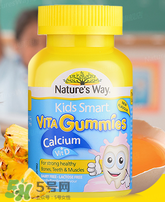 Nature's Way好嗎 Nature's Way保健品怎么樣？