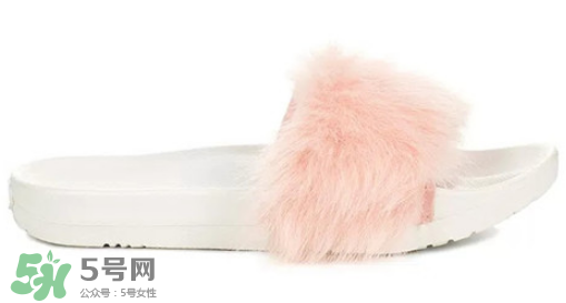 ugg royale小毛王拖鞋有哪幾種顏色？ugg小毛王拖鞋顏色有幾款？