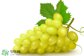 葡萄多少錢(qián)一斤？葡萄多少錢(qián)一斤2017？