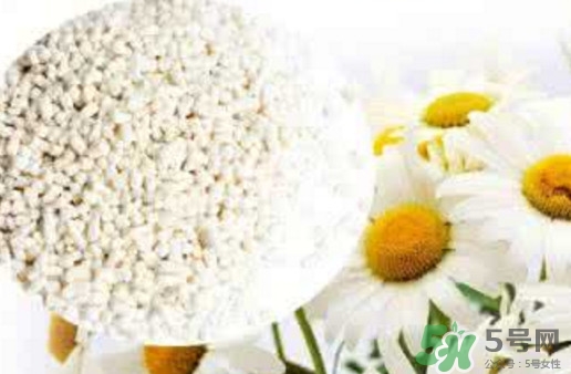 菊花晶是熱性還是涼性？菊花晶嬰兒可以喝嗎？