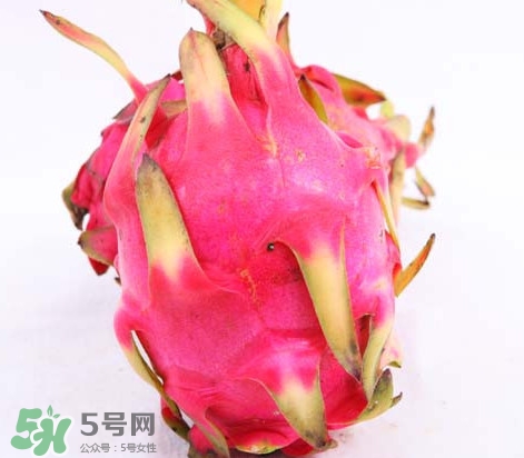 火龍果是酸性還是堿性？火龍果盆栽種植方法