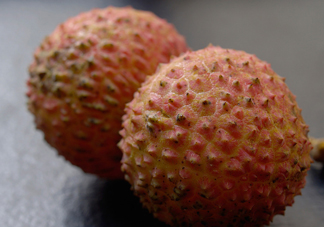 桂味荔枝和妃子笑哪個(gè)好吃？桂味荔枝和妃子笑區(qū)別