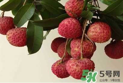 糯米糍荔枝多少錢一斤2017？糯米糍荔枝市場(chǎng)價(jià)格