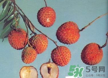 糯米糍荔枝產(chǎn)地是哪里？糯米糍荔枝上火嗎