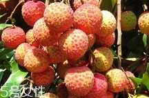 雞嘴荔枝多少錢一斤2017？香山雞嘴荔枝什么價錢