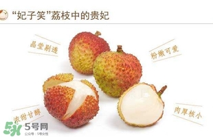 貴妃荔枝是哪里的？貴妃荔枝的產(chǎn)地是哪里
