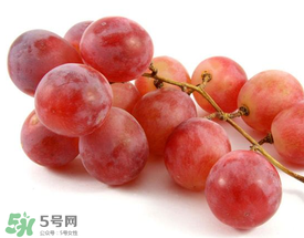 提子上的白色是什么？提子外面白色的是什么？