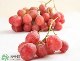 提子上的白色是什么？提子外面白色的是什么？