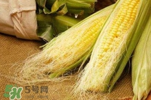 玉米須水什么人不能喝？玉米須煮水小孩能喝嗎？