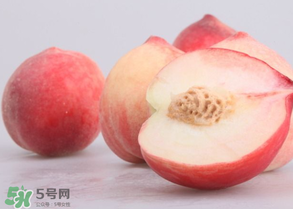 水蜜桃可以和酸奶一起吃嗎？水蜜桃酸奶的做法