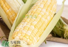 水果玉米多少錢一斤2017？水果玉米市場價(jià)格