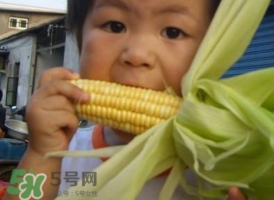 水果玉米是甜玉米嗎？水果玉米和甜玉米的區(qū)別