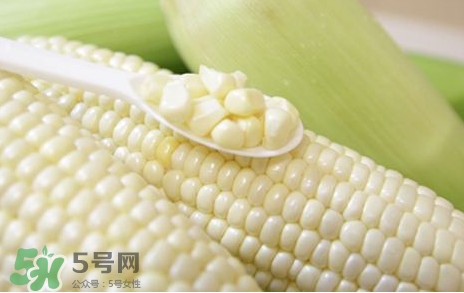 糯玉米是轉(zhuǎn)基因嗎？糯玉米是不是轉(zhuǎn)基因
