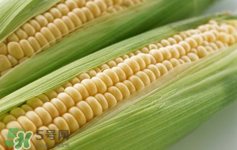 水果玉米熱量高嗎？一根水果玉米的熱量是多少