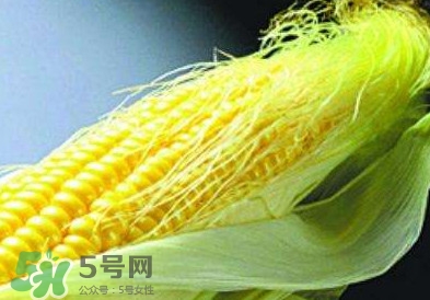 玉米須怎么吃降血糖？玉米須如何降血糖