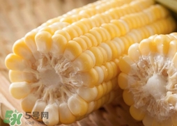 水果玉米多少錢一斤2017？水果玉米市場價(jià)格