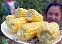 水果玉米和普通玉米有什么區(qū)別？水果玉米產(chǎn)地是哪里