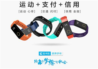 拉卡拉手環(huán)多少錢？拉卡拉手環(huán)價(jià)格