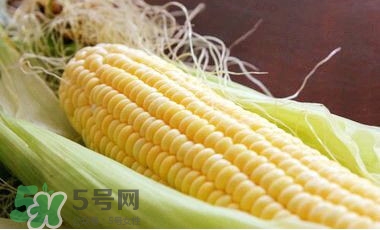 水果玉米是甜玉米嗎？水果玉米和甜玉米的區(qū)別