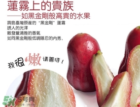 黑金剛蓮霧好吃嗎？黑金剛蓮霧多少錢一斤2017？