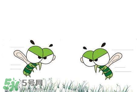 招蚊子是什么原因？招蚊子體質(zhì)怎么辦？