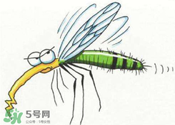 招蚊子是什么原因？招蚊子體質(zhì)怎么辦？