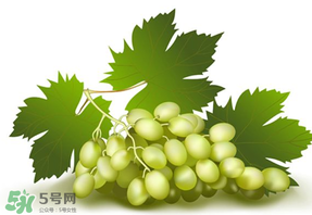 青提不能和什么一起吃？青提哪些人不能吃？