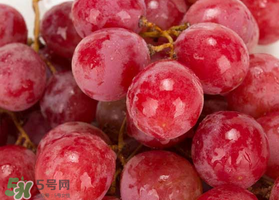 提子什么季節(jié)成熟？提子什么時(shí)候上市？