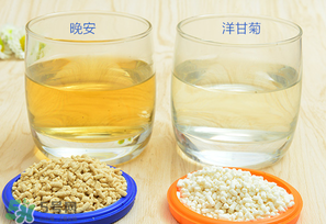 美林菊花晶一天喝幾次？美林菊花晶一天喝多少？