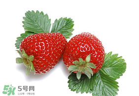 夏天有草莓嗎？夏天草莓結(jié)果嗎？