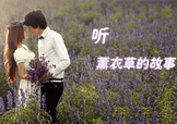 六月份還有薰衣草嗎？6月份哪里有薰衣草？