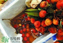 荔枝為什么要用藥水泡？荔枝藥水浸泡是否安全？
