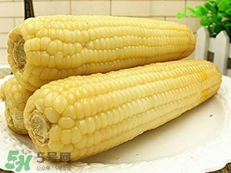 糯玉米有哪些營(yíng)養(yǎng)？糯玉米可以減肥嗎
