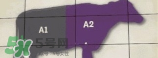 A2奶粉斷貨用什么奶代替最合適？與A2奶粉相近的奶是什么