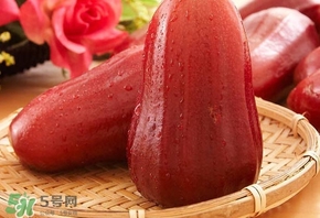 蓮霧什么季節(jié)吃最好？什么品種的蓮霧最好吃