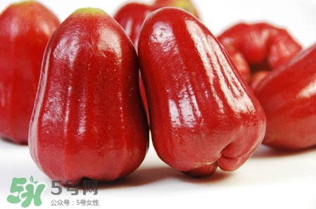 黑珍珠蓮霧多少錢(qián)一斤2017？黑珍珠蓮霧產(chǎn)地是哪里