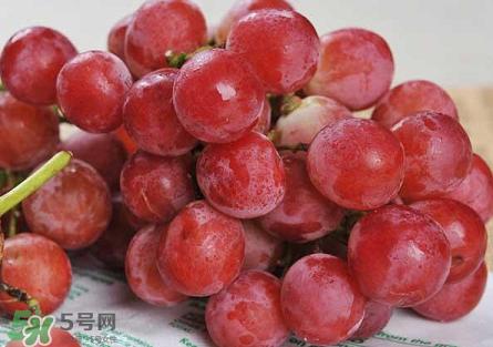 提子為什么會澀？提子澀怎么辦是沒熟嗎？