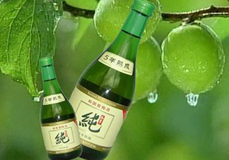 青梅酒泡多久可以喝？青梅酒好喝嗎？