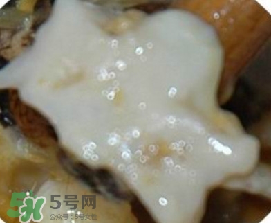 面包蟹是哪里產(chǎn)的？面包蟹哪里不能吃圖解