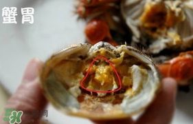 面包蟹是哪里產(chǎn)的？面包蟹哪里不能吃圖解