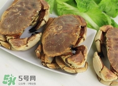 面包蟹是黃道蟹嗎？黃道蟹和面包蟹一樣嗎
