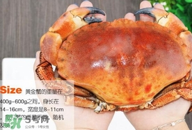 速凍面包蟹如何處理？活面包蟹怎么處理清洗